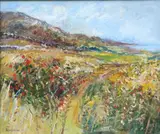 Robert Bottom, Summer Fields. Drumnacraig, Fanad, Co. Donegal