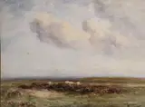Wycliffe Eggington, Sheep Grazing