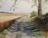 Joan Thornton, Country Road