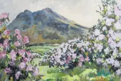 Patric Stevenson, Rhododendrons & Hen Mountain, In The Mournes