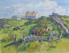 Diarmuid Larkin, Farm Houses Ballyconneely