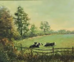 Senan O'Brien, In A Field's Corner