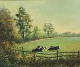Senan O'Brien, In A Field's Corner