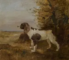 Basil Blackshaw, Springer Spaniel