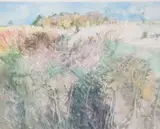 Terrance P. Flanagan, Lissadell