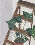 Paddy Critchley, Still Life With Ladder