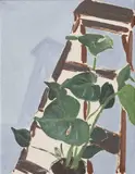 Paddy Critchley, Still Life With Ladder Ii