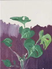 Paddy Critchley, Wickham Street Studio Plant