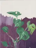 Paddy Critchley, Wickham Street Studio Plant