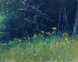 Brett McEntagart, Forest Flowers