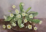 Geraldine O'Brien, Still Life