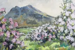 Patric Stevenson, Rhododendrons & Hen Mountain, In The Mournes