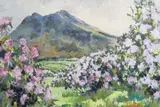 Patric Stevenson, Rhododendrons & Hen Mountain, In The Mournes