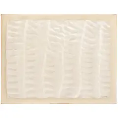 Frans Krajcberg, Untitled, RELEVO EM PAPEL MOLDADO