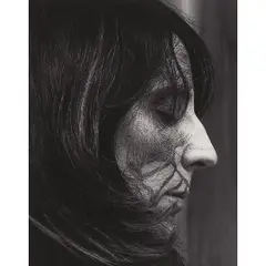Sandra Cinto, Untitled, C-PRINT