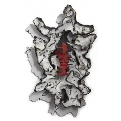 Frans Krajcberg, Untitled, ESCULTURA EM MADEIRA PINTADA
