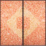 Paulo Roberto Leal, Armagem laranja e amarelo, 1974