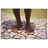 Luciano Bonomo, Untitled, Fotografia sobre papel Hahnemühle pintada a mão