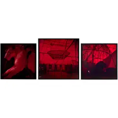 Miguel Rio Branco, O Circo, 1992-2006, Cibachrome