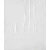 Anna Burle Marx, Untitled, Gesso e pigmentos sobre tela