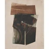 Maria Bonomi, PEDRA VEGETAL