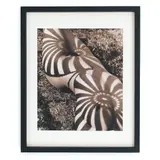 Herb Ritts, “NEITH WITH SHADOWS” FRONT VIEW
