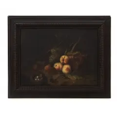 Rachel Ruysch, Frutas e insetos, Óleo sobre tela