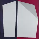 Maurício Nogueira Lima, BRANCO / PRATA / VIOLETAS, ACRÍLICA SOBRE TELA