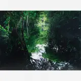Claudia Jaguaribe, IGARAPÉ I ,DA SÉRIE “QUANDO EU VI”, 2007, C-PRINT