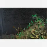 Rodrigo Andrade, Mato e pedras com musgo, Óleo sobre tela colada em madeira