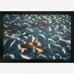 Itapoã by Miguel Rio Branco, C-PRINT, offered Dec 2016