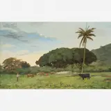 João Batista da Costa, Untitled