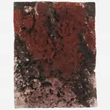 Untitled by Frans Krajcberg, Pigmentos sobre papel artesanal moldado, offered Aug 2016