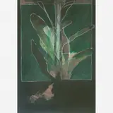 Carlos Fajardo, Untitled, Óleo sobre tela