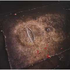Túmulo by Miguel Rio Branco, Cibachrome, offered Aug 2015