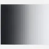 Iran do Espirito Santo, Photogram 3 - vertical