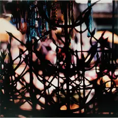 Mário Cravo Neto, Untitled, C-PRINT