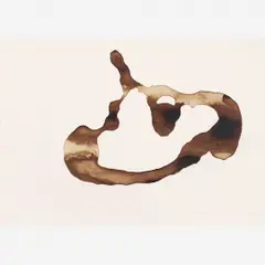 Fernanda Gomes, Untitled, Café sobre papel