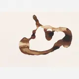 Fernanda Gomes, Untitled, Café sobre papel