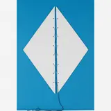 Paulo Roberto Leal, Untitled