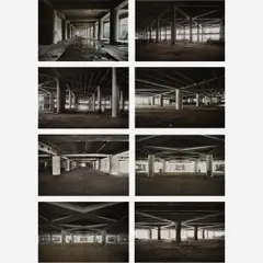 Becoming, 2009 by Al Weiwei, Impressão em offset, offered Aug 2014