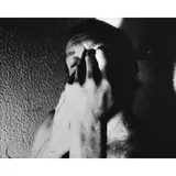 Ivan Cardoso, TreisOitão, 1979/2002