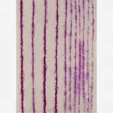Rafael Assef, Matemática Aurea V, 2000, C-PRINT