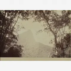 Vista do Corcovado, c. 1890 by Marc Ferrez, Gelatina e prata sobre papel, offered Aug 2014