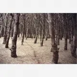 Marcelo Brodsky, Miramar, Provincia de Buenos Aires, 2001, Impressão jato de tinta em papel algodão