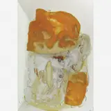 Luiz Carlos Carvalhosa, Untitled