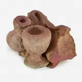 Tunga, Untitled