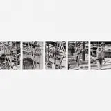 Alair Gomes, Untitled, Fotografia