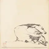 Wesley Duke Lee, A Queda de Fauno, Nanquim sobre Papel