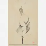 Wesley Duke Lee, Vulvarius Ordinaria, Nanquim sobre Papel